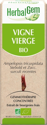 Herbalgem Vigne Vierge Macérat 50ml | Articulations - Muscles - Os