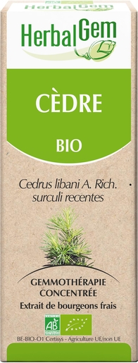Herbalgem Cedre Macérat 50ml | Produits Bio