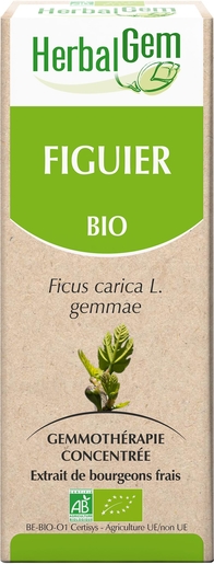 Herbalgem Figuier Macérat 15ml | Produits Bio