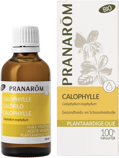 Pranarôm Calophylle Plantaardige Olie Bio 50ml | Bioproducten