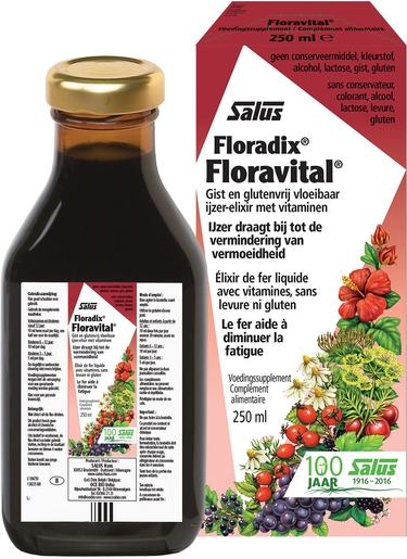 Salus Floradix Floravital 250ml | Fer