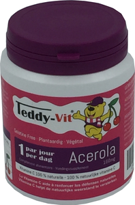 Teddy Vit Acerola 50 Gommes Ours
