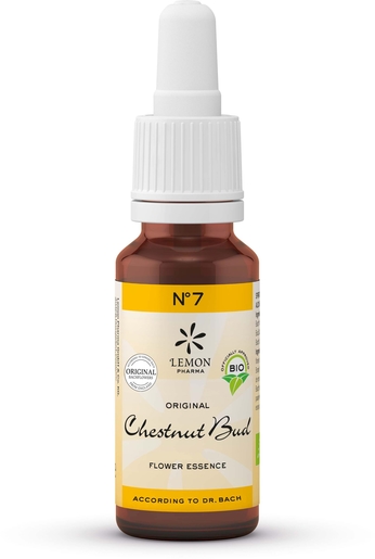 Dr. Bachbloesems (Lemon Pharma) Bio N7 Chestnut Bud 20ml | Bioproducten