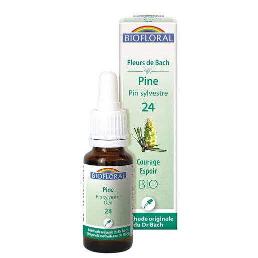 Bachbloesem 24 Pine Den Bio 20ml Demeter | Neerslachtigheid - Wanhoop
