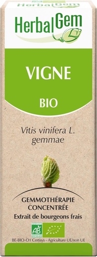 Herbalgem Vigne Macérat 50ml | Transit - Digestion