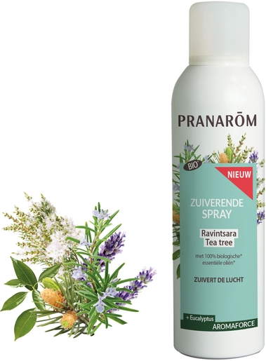 Pranarôm Aromaforce Zuiverende Spray Tea-Tree Ravintsara 150 ml | Onze Bestsellers