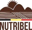 Nutribel  Nutribel Flocons d'avoine petits bio 500g