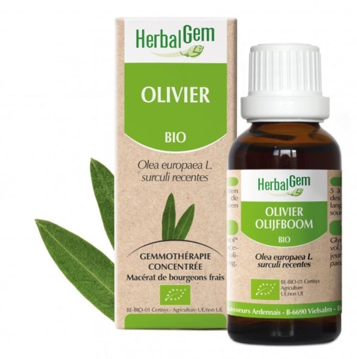 Herbalgem Olijfboom Bio 30  ml | Bloedsomloop