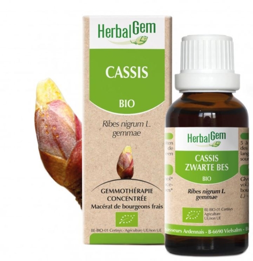 Herbalgem Cassis Bio 30ml | Macérats-mère unitaires