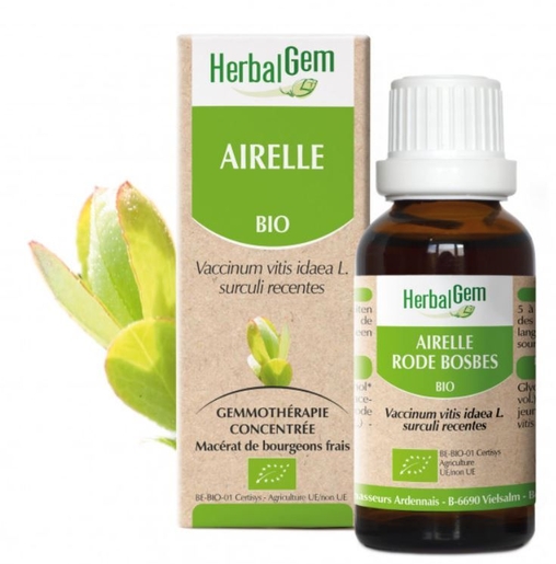 Herbalgem Airelle Bio 30ml | Beauté de la peau