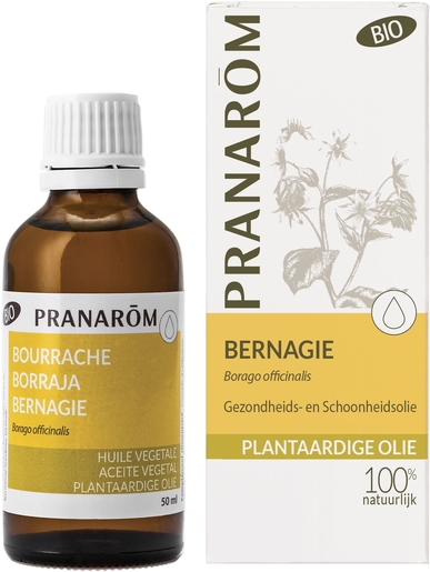 Pranarôm Borage Plantaardige Olie Bio 50ml | Bioproducten