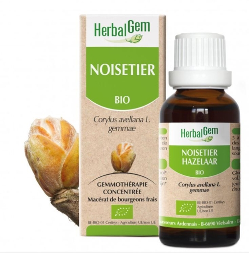 Herbalgem Hazelaar Bio 30 ml | Ademhaling - Neus