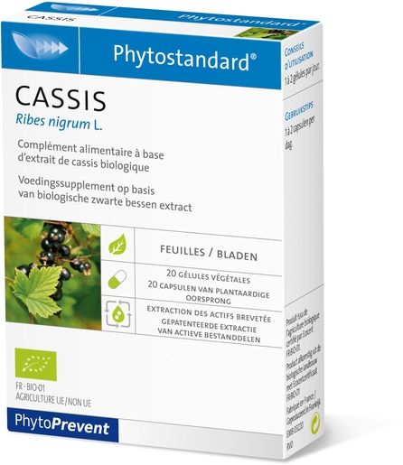 Phytostandard Cassis 20 Capsules | Gewrichten - Spieren