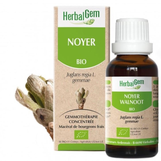 Herbalgem Noyer Bio 30ml | Macérats-mère unitaires