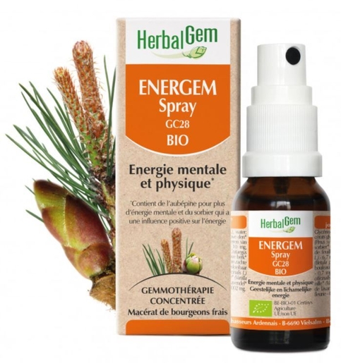 HerbalGem Energem BIO Spray 15 ml | Vorm - Energie