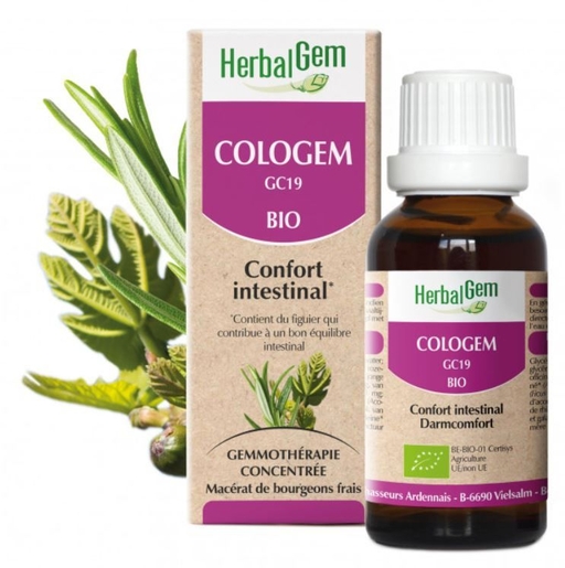 Herbalgem Cologem BIO Gouttes 30ml | Digestion - Transit
