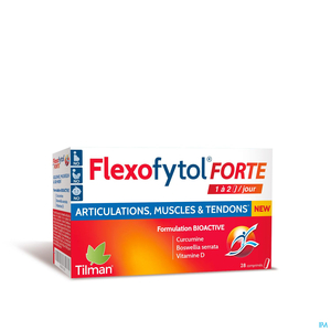 Flexofytol Forte Tabletten 28