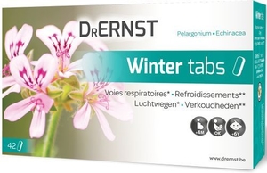 Dr Ernst Winter Tabs 42 Tabletten