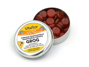 Vitaflor Grog Pastilles 45 g