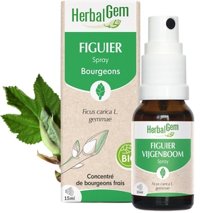 Herbalgem Vijgenboom Bio Spray 15 ml