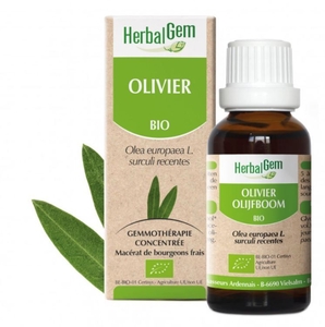 Herbalgem Olijfboom Bio 30  ml